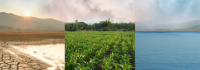 EFFAS Climate Risk Analyst® (ECRA)