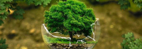 Certified ESG Analyst (CESGA®)
